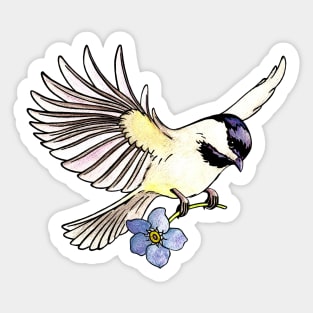 Chickadee Sticker